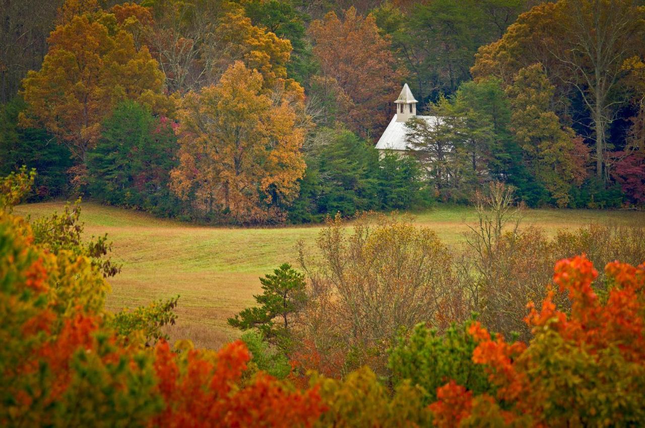 Cabin Of Dreams, 3 Bedroom Water View, Wifi, Hot Tub, Pool Table, Sleep 8 Sevierville Buitenkant foto
