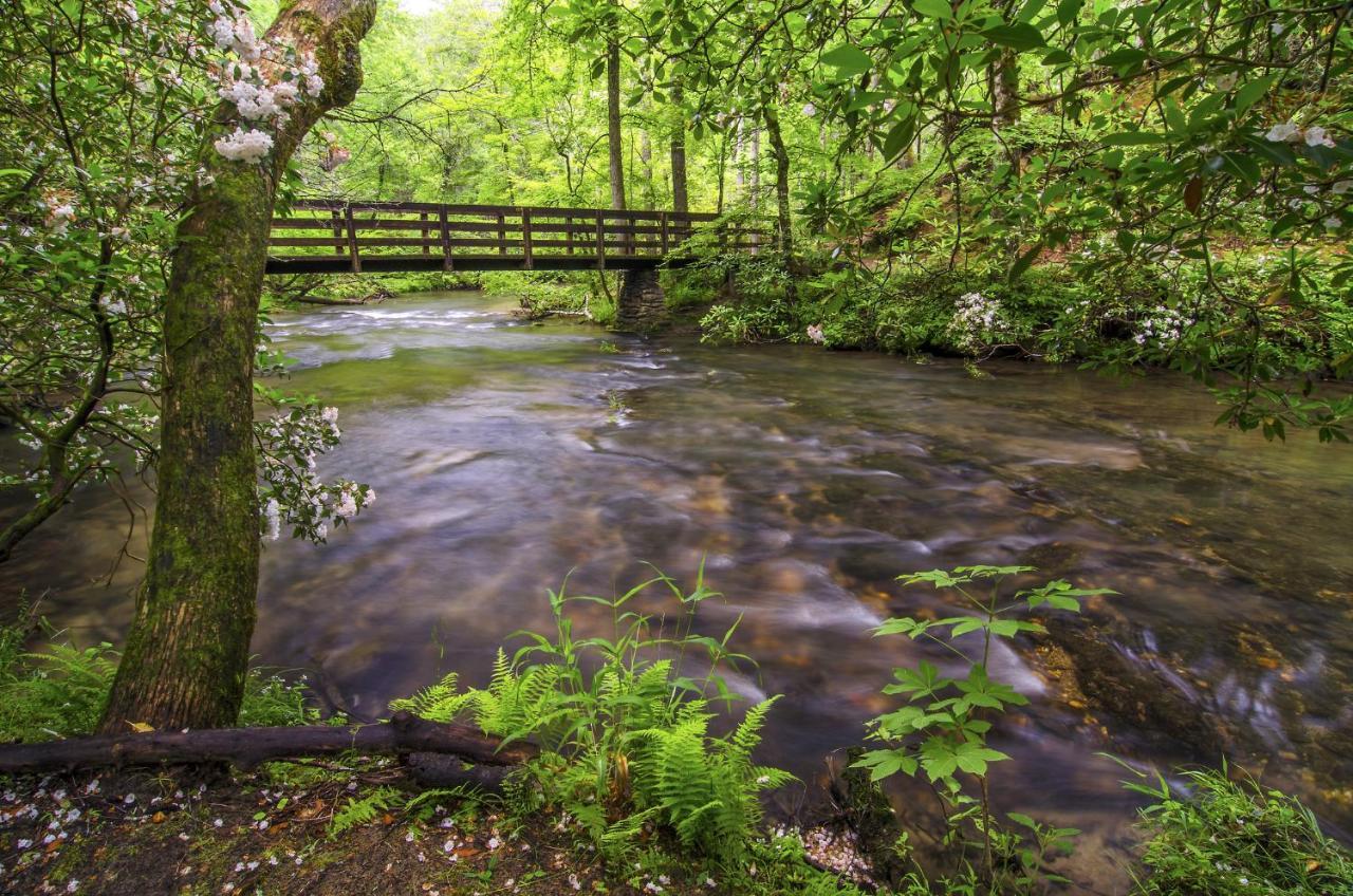 Cabin Of Dreams, 3 Bedroom Water View, Wifi, Hot Tub, Pool Table, Sleep 8 Sevierville Buitenkant foto