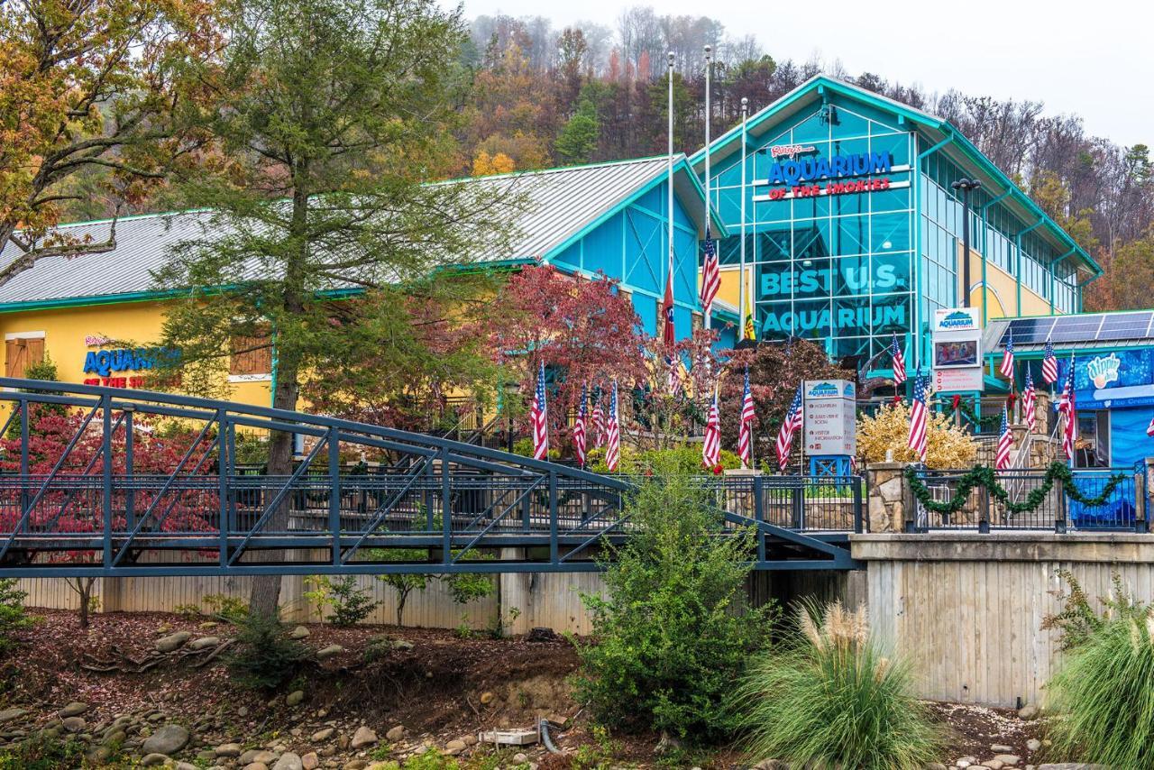 Cabin Of Dreams, 3 Bedroom Water View, Wifi, Hot Tub, Pool Table, Sleep 8 Sevierville Buitenkant foto